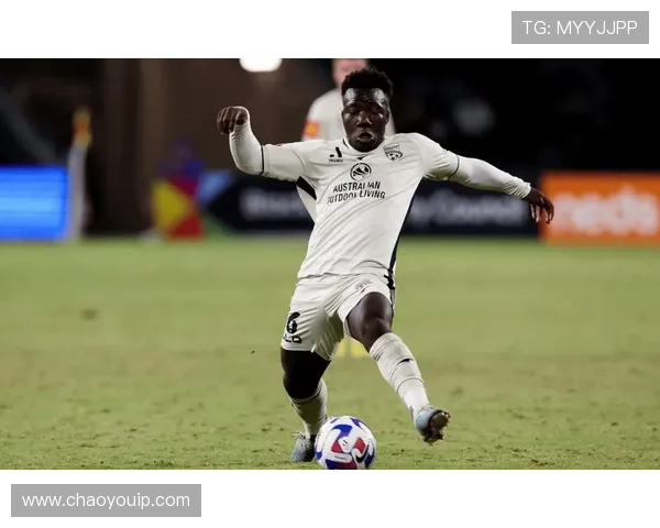 狮吼中场脑震荡后本轮复出，四将恢复训练仍无缘战水手阵容吃紧